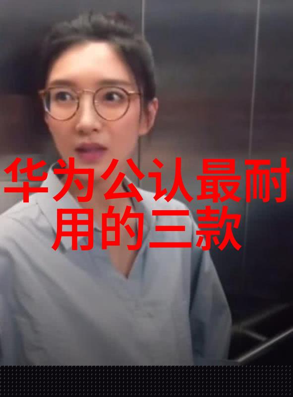 新一代电子设备的灵魂是谁探索国内领先的芯片制造商