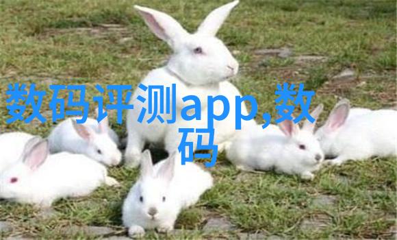 如何让会议室效果图从平面设计走向沉浸式体验