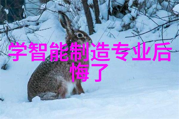 化工密封件设备确保安全生产与高效运行的关键组成部分