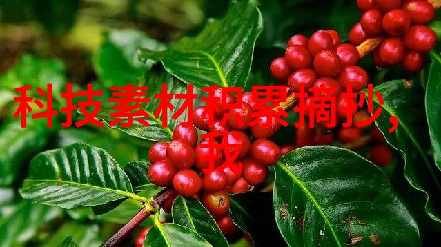 智慧的篇章智能与悟性之辨