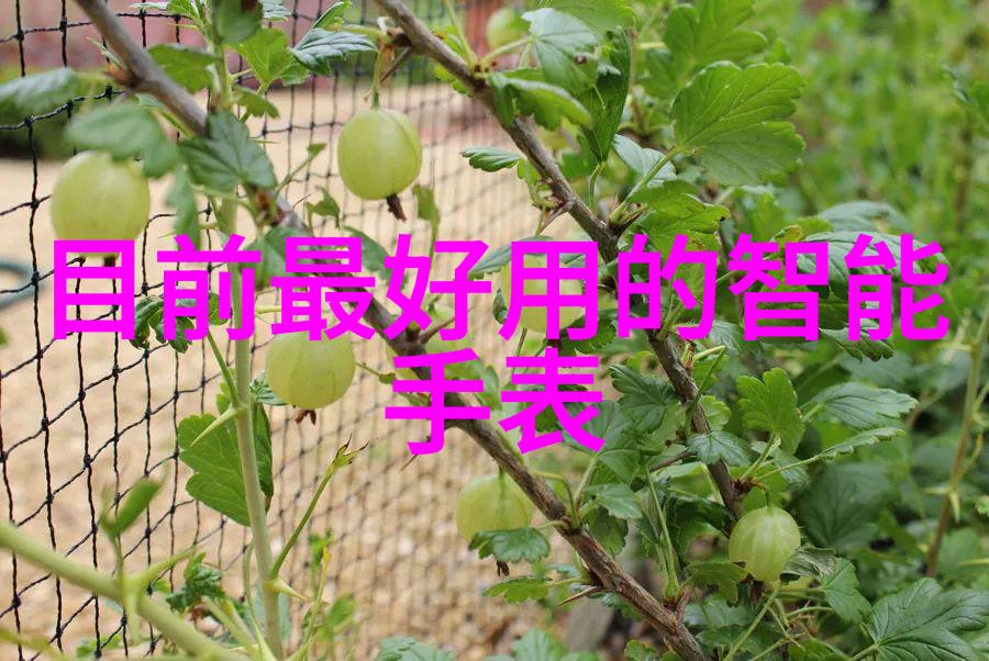 热带雨未删减版探索电影中隐秘情感的真实面貌