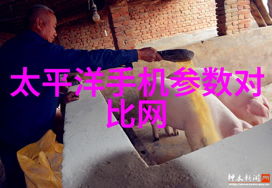 主题我亲眼见证的丝网制品最大的厂家丝网之巢