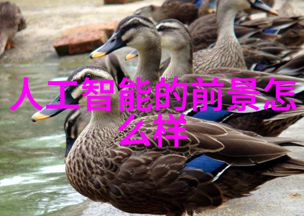 中国化工行情网我眼中的化工行情大师