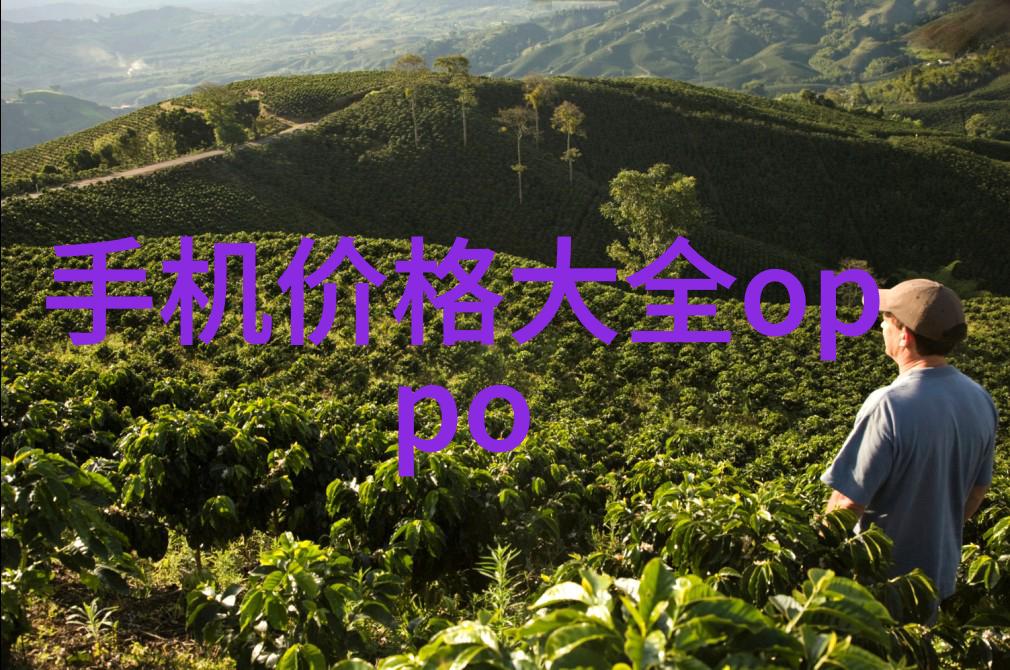 水质监测机构寻找指南