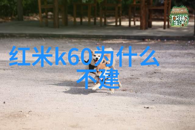 探索不锈钢加工服务请问有提供此类加工的专业机构吗