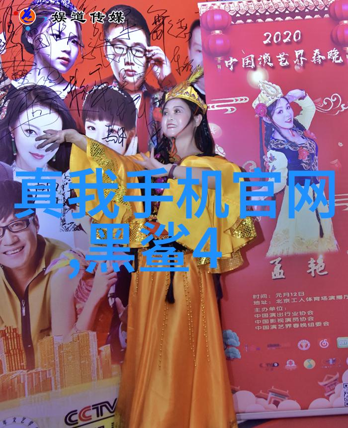 北京市保健服务评价机构的发展与挑战