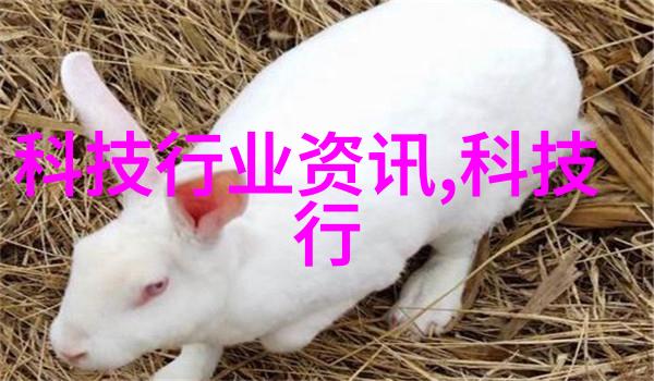 田园自然风格客厅创意空间设计