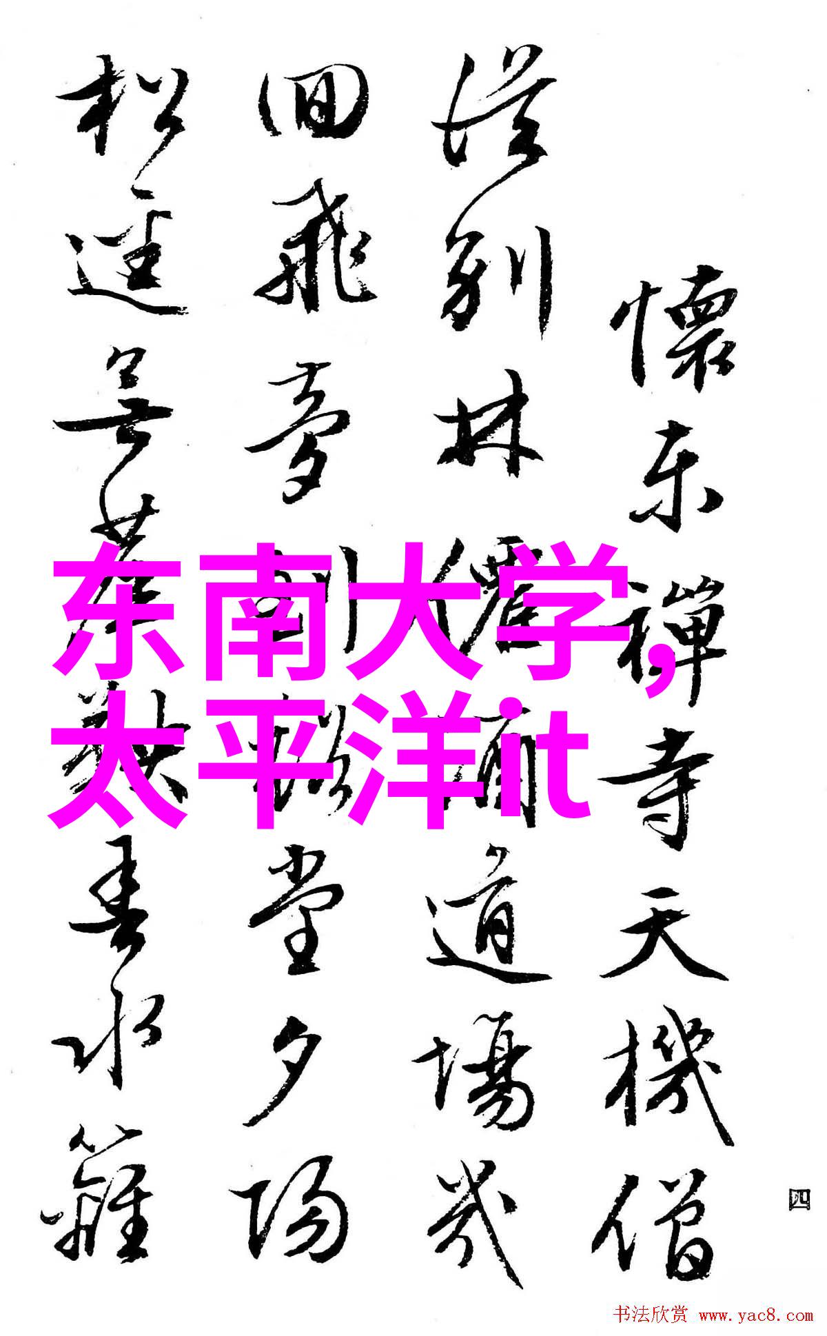厨房装修橱柜我的收藏家从实用到时尚的探索之旅