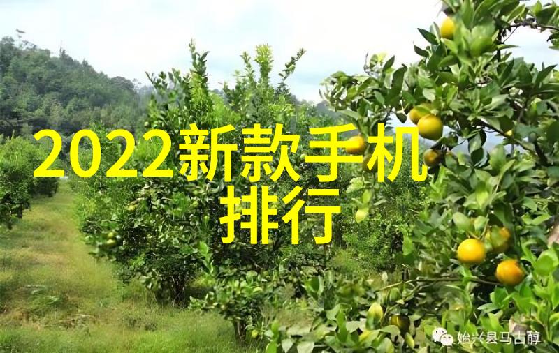填料塔技术-探索填料塔的奥秘提高效率与节能的关键
