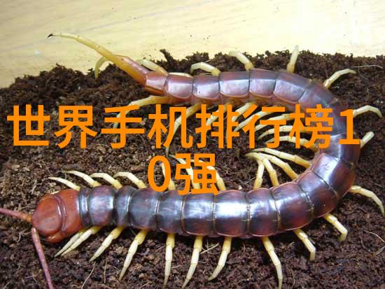 污水设备生产厂家专注于环保技术的创新者