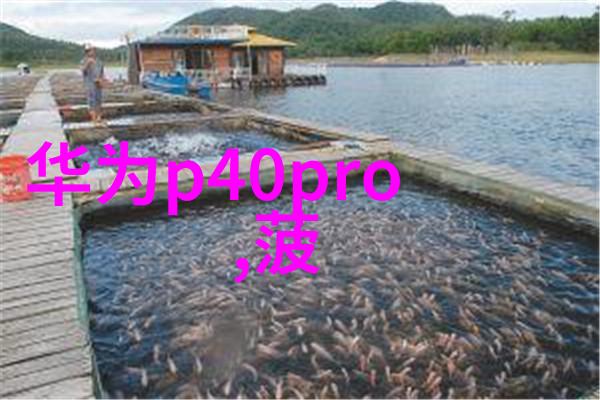 工业废气净化技术的进步与应用实践