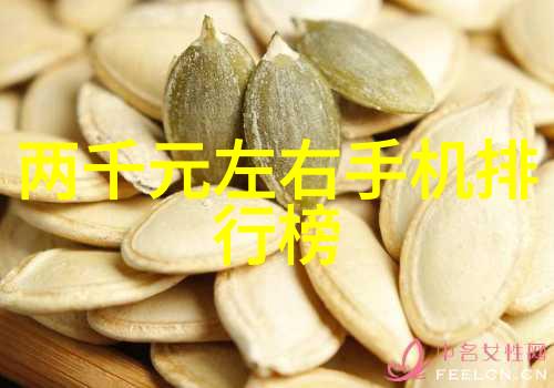 化工过滤设备-精细分离化工行业中的关键技术与设备应用