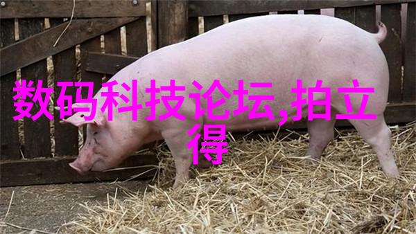 不锈钢丝网的魅力织就物料的未来