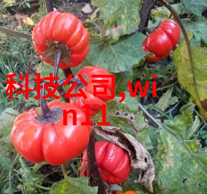 上海仅鑫制药设备工程有限公司守护健康的工业精灵