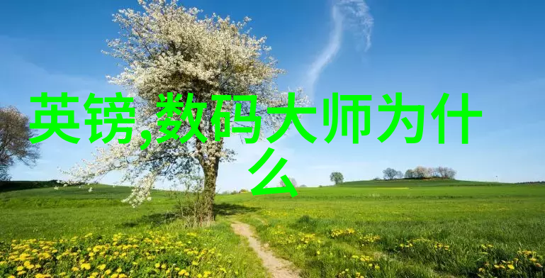 中国制药机械设备厂家守护健康的工业巨人