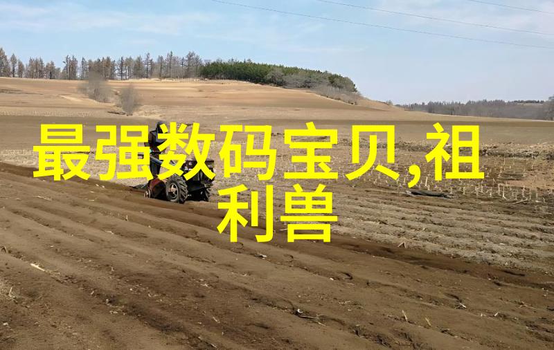 炮灸独特中药疗法的艾灸