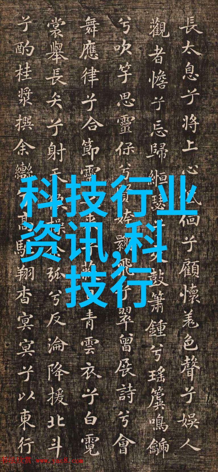 网络诚信商业价值无限 淘宝网竭尽所能打击炒作信用