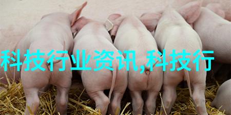 甜蜜饼干-酥糖夹心陷揭秘家常甜点的诱惑