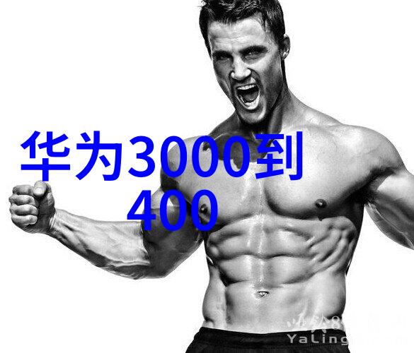 粉体输送设备技术与应用概述提升物料传输效率与精确度