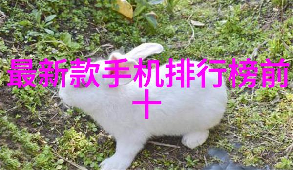 QQ人气精灵虚拟世界中的宠儿与文化现象