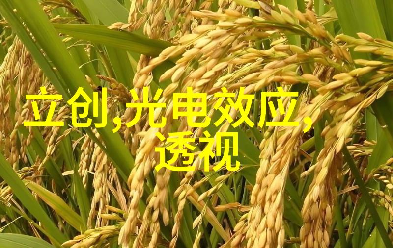 探索邻近不锈钢护栏加工厂的产业链与创新前景