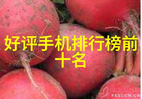 塑料管道的无缝对话PE法兰接头与连接艺术