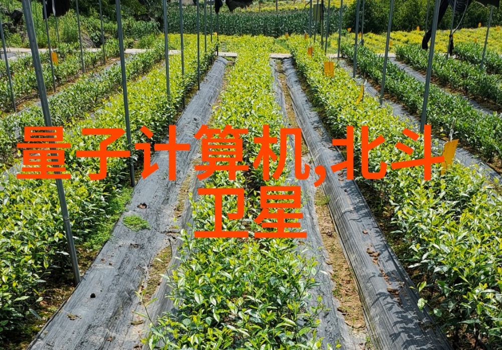 通道式自动喷淋消毒系统保障公共卫生的高效解决方案