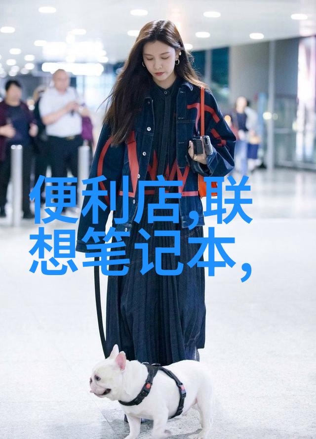 房屋装修设计图从空间规划到视觉艺术的全方位指南