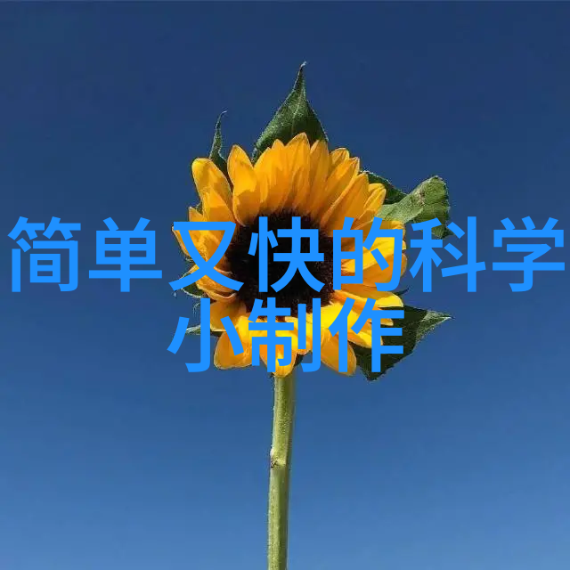 压力中的流动液压机的诗意轮回