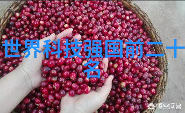 快穿之每晚都穿进男神的梦里我的奇妙冒险开始了