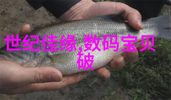如何选择合适的化工包衣机械以满足生产需求