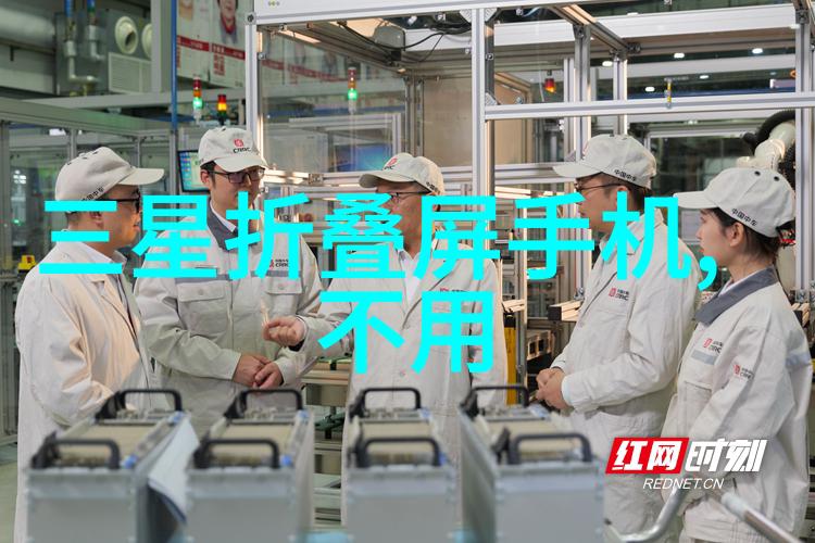 丽维家之谜阴影中的守护者
