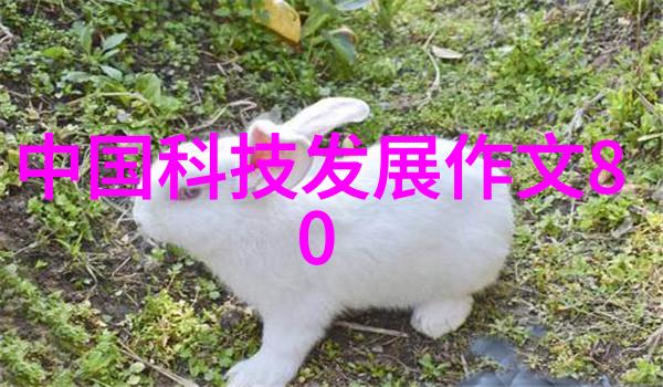 国产填料公司中国领先的环保填料解决方案提供商