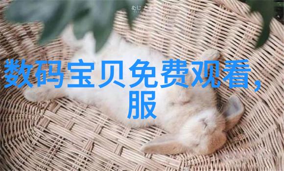 现代新中式客厅设计温馨典雅的生活空间美学