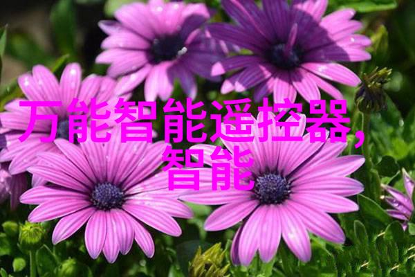 探究现代居住空间布局优化基于三室两厅两卫装修效果图的设计理念与实践