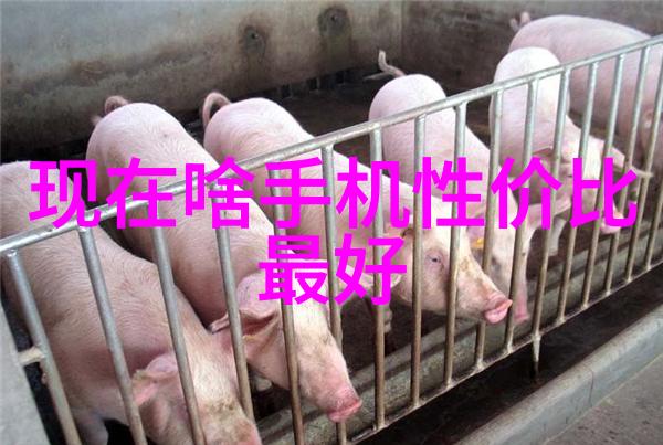 农村水质检测的部门选择基于多学科合作的探究