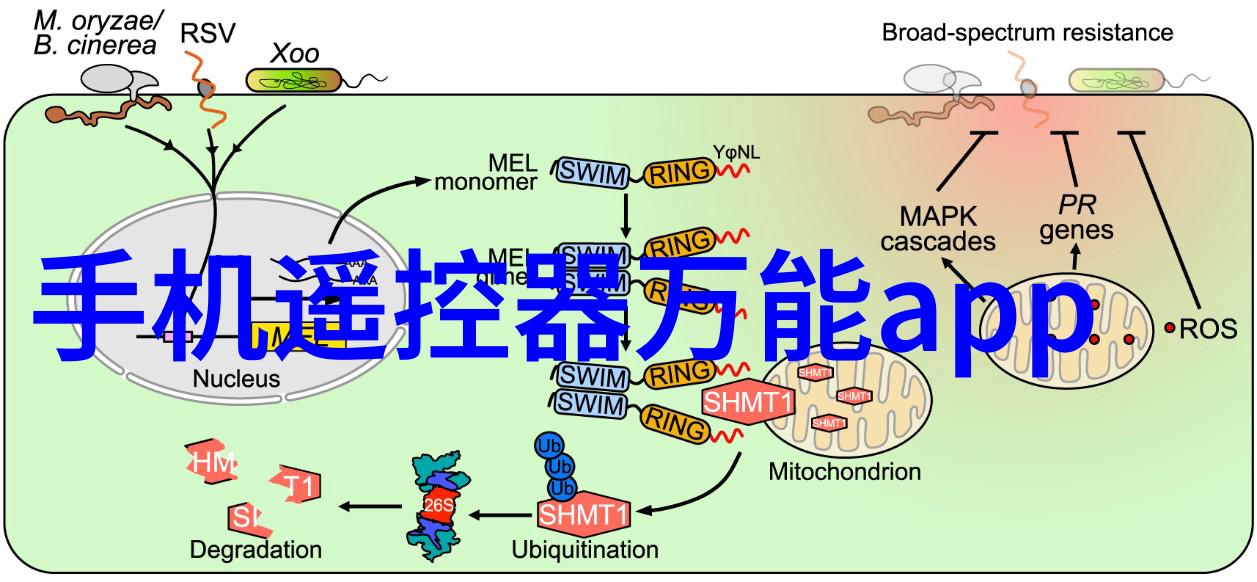 时光编织者苹果智能手表的诗篇