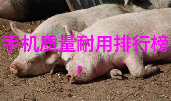 高清hdpe排水管管件图片解析每个部件的作用与安装方法