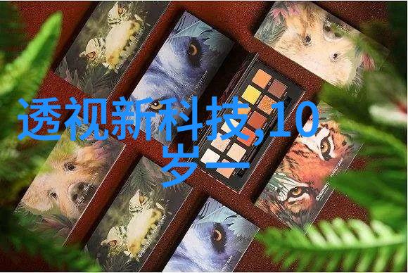 主题-a组填料图片捕捉生活片段的无声语言