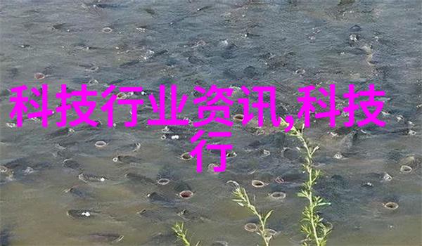 申请费用的报告撰写技巧详解如何高效编写专业的申请费用报告