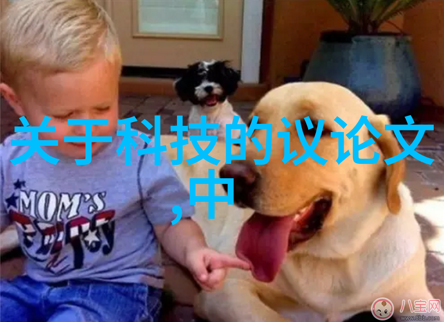 智能安全新纪元防范未来威胁的关键技术与策略