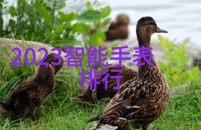 麻豆乱码一卡二卡三卡视频-解密麻豆影视世界一卡二卡三卡视频背后的秘密