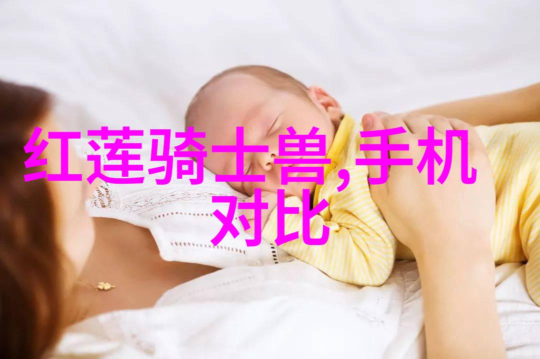 十九朵玫瑰的秘密语言