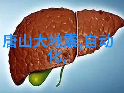 完美卫生间地面装修指南从清理到上色逐步完善空间美学