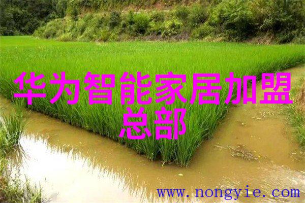 杭州装修设计-翠湖之韵探索杭州现代居所的装饰艺术