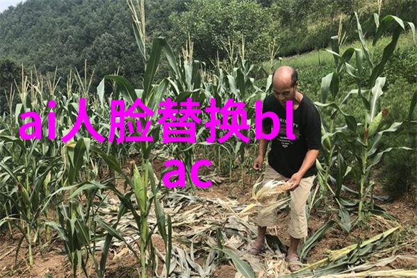 智能控制系统对冷凝机组性能提升的影响
