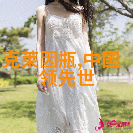 化工设备机械基础第四版-深入解析新一代化工机械设计原理与应用