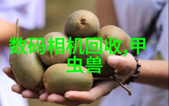 用户如何安全地操作全自动蒸汽发生器