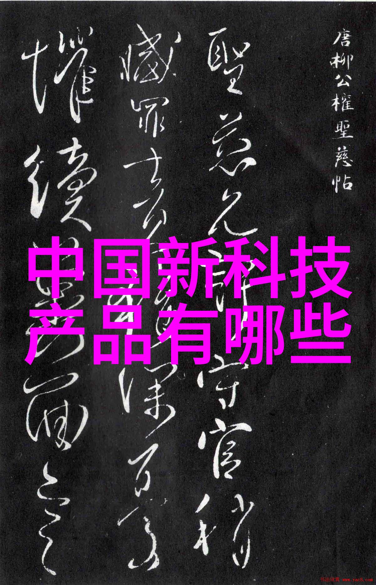 校园角落的秘密之地