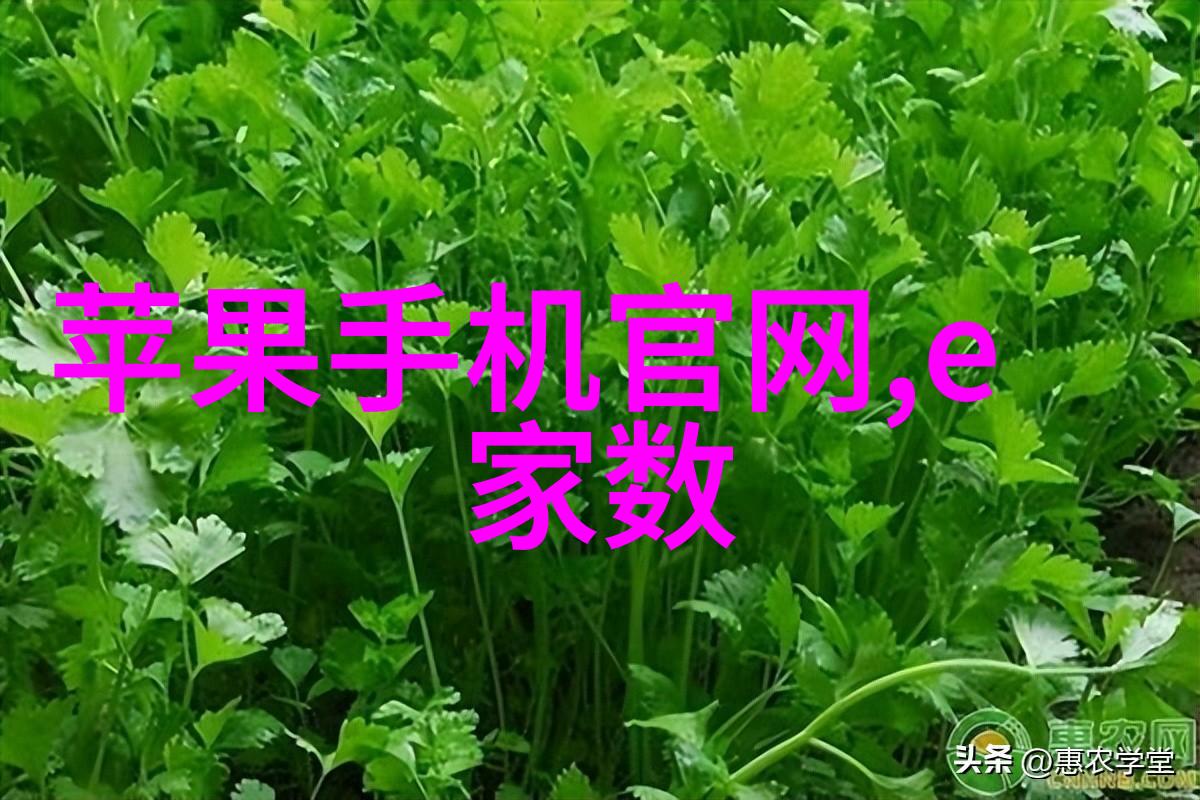 粉土机筛土一体化操作新技术的应用与展望